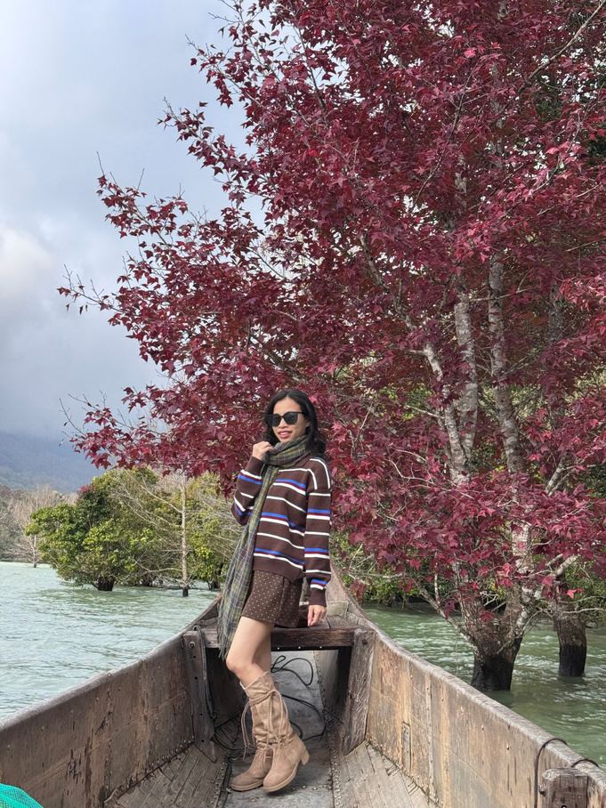 Mùa phong hương (sau sau) thay lá