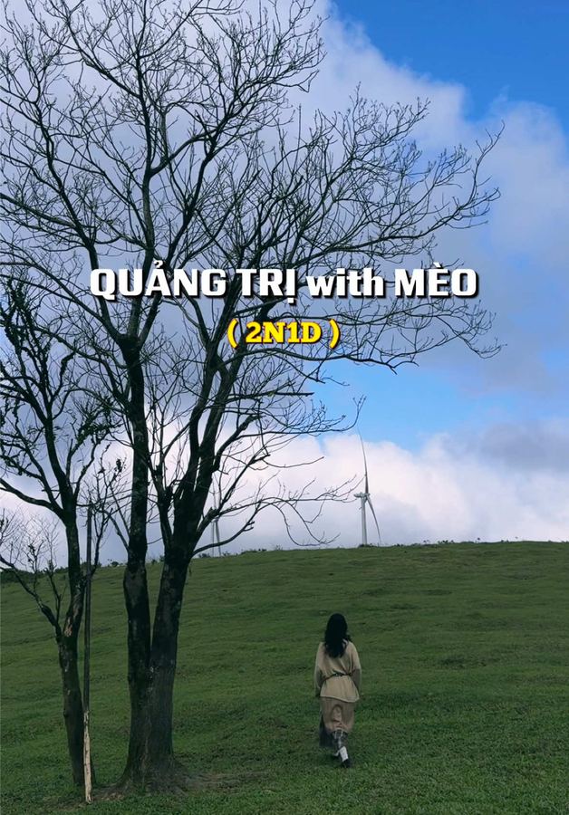 Đi tour với Mèo 2 ngày 1 đêm thì sẽ như nào